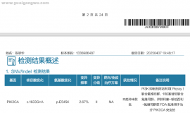 基因检测结果刚出来，麻烦懂得病友帮忙看一下