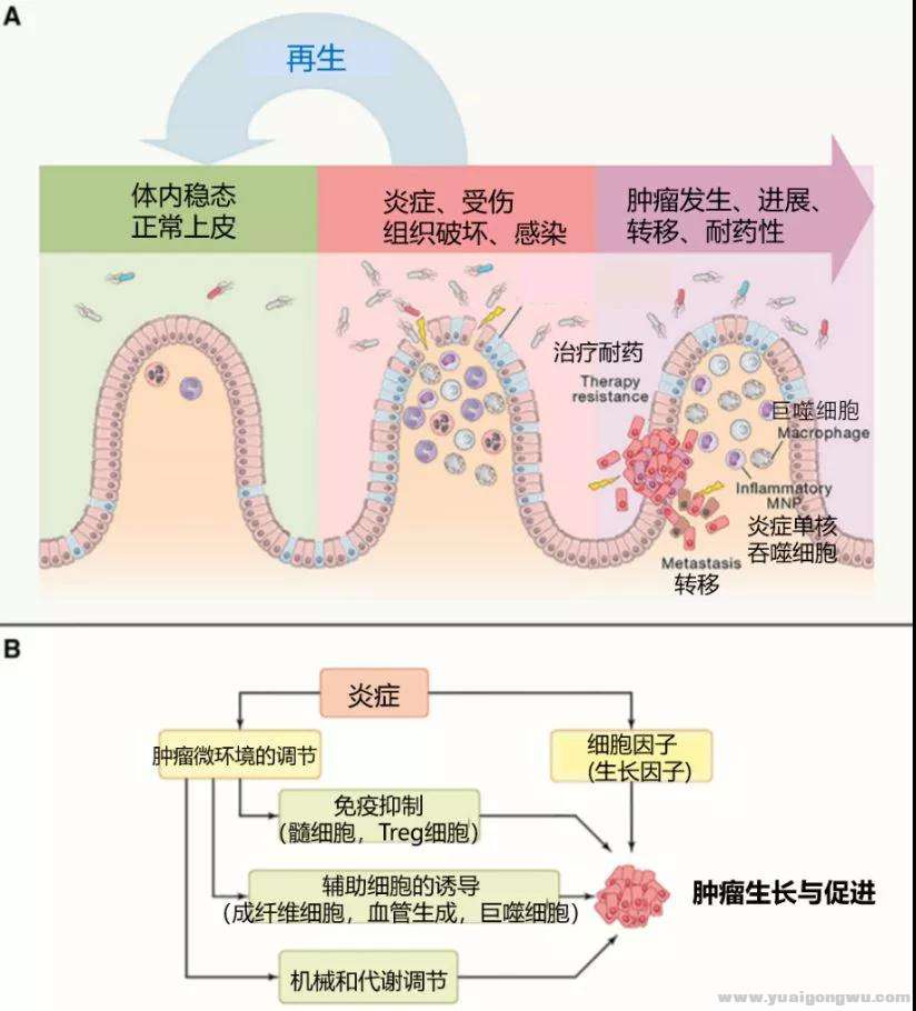 微信图片_20200707174104.jpg