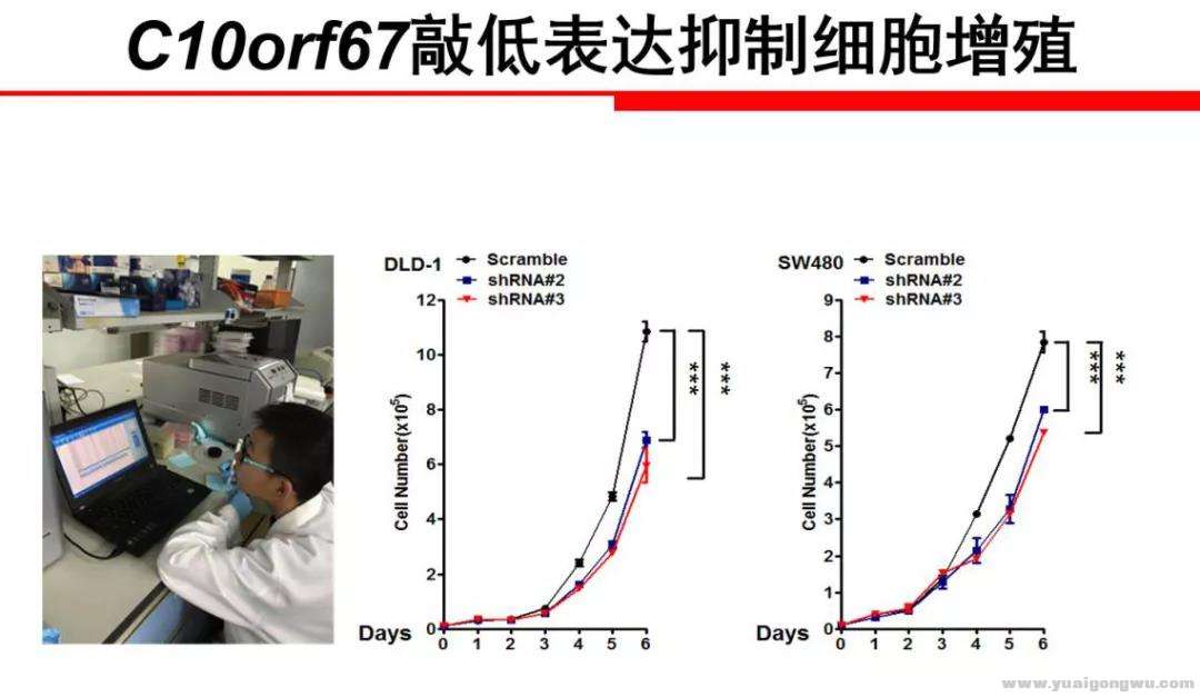 微信图片_20200721173737.jpg